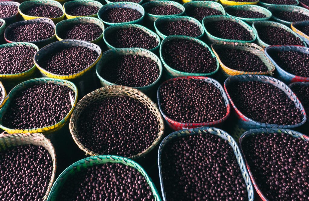 O que é açaí de verdade