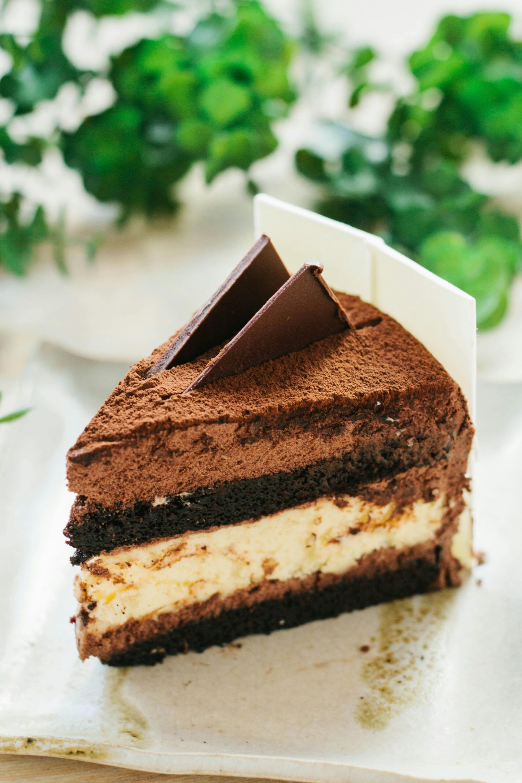 Benefícios e Malefícios do Chocolate