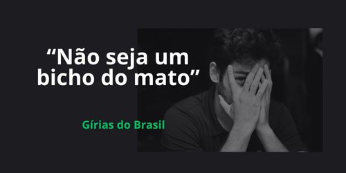 Gírias Brasileiras por estado