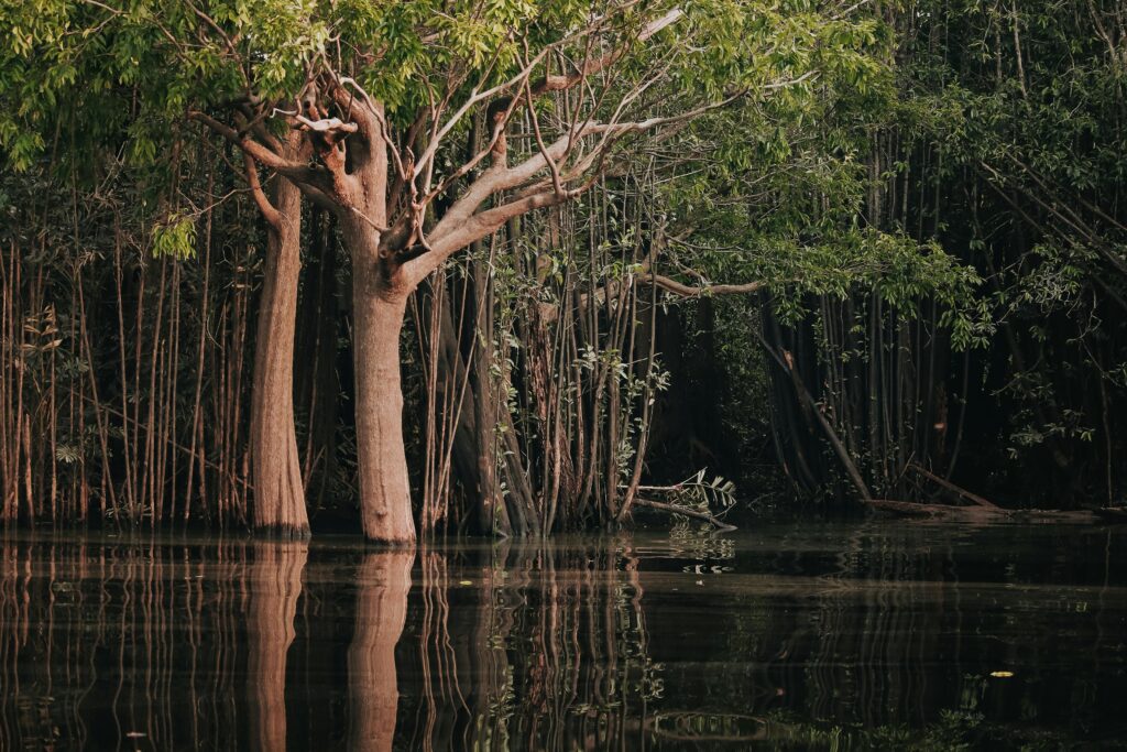 Turismo na Amazônia