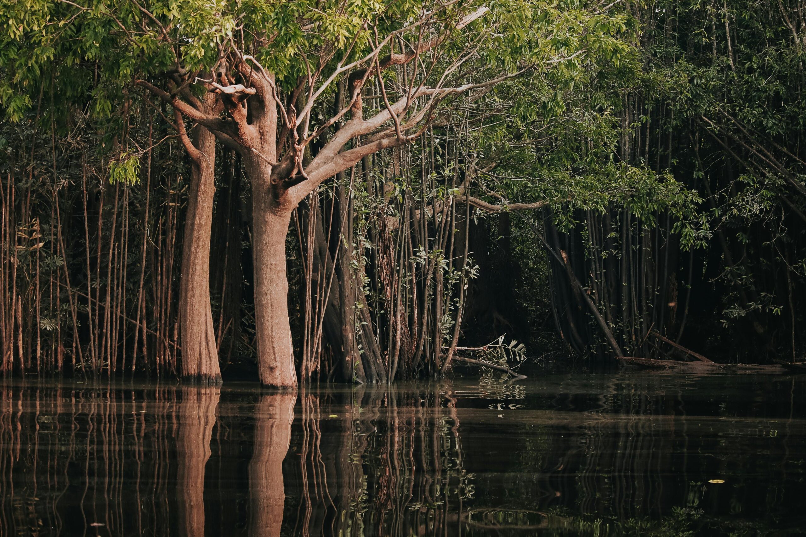 Turismo na Amazônia