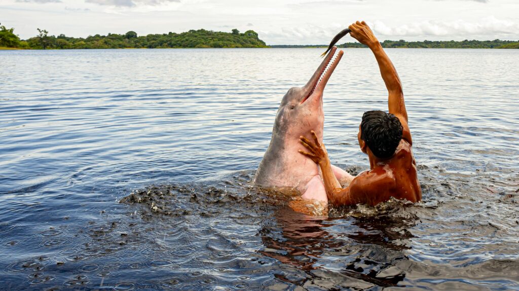 Tesouros da Amazônia