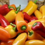 Pimenta na Culinária Baiana e Amazônica
