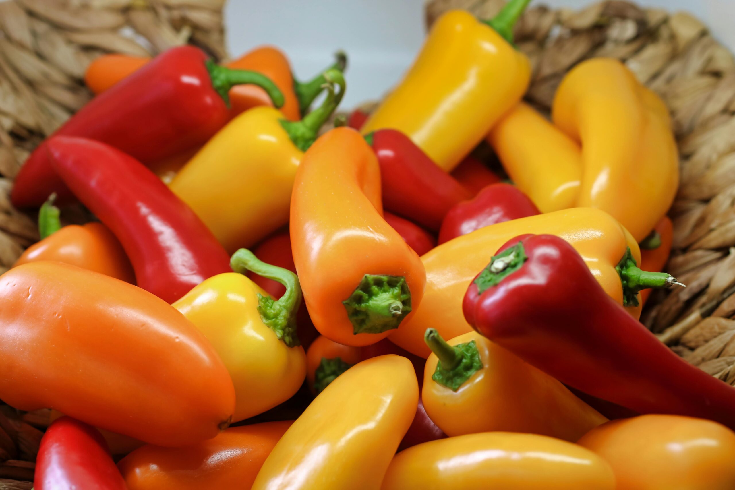 Pimenta na Culinária Baiana e Amazônica
