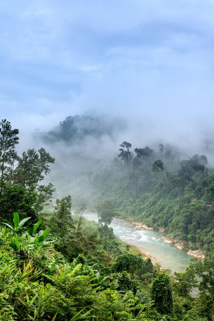 Biodiversidade da Amazônia