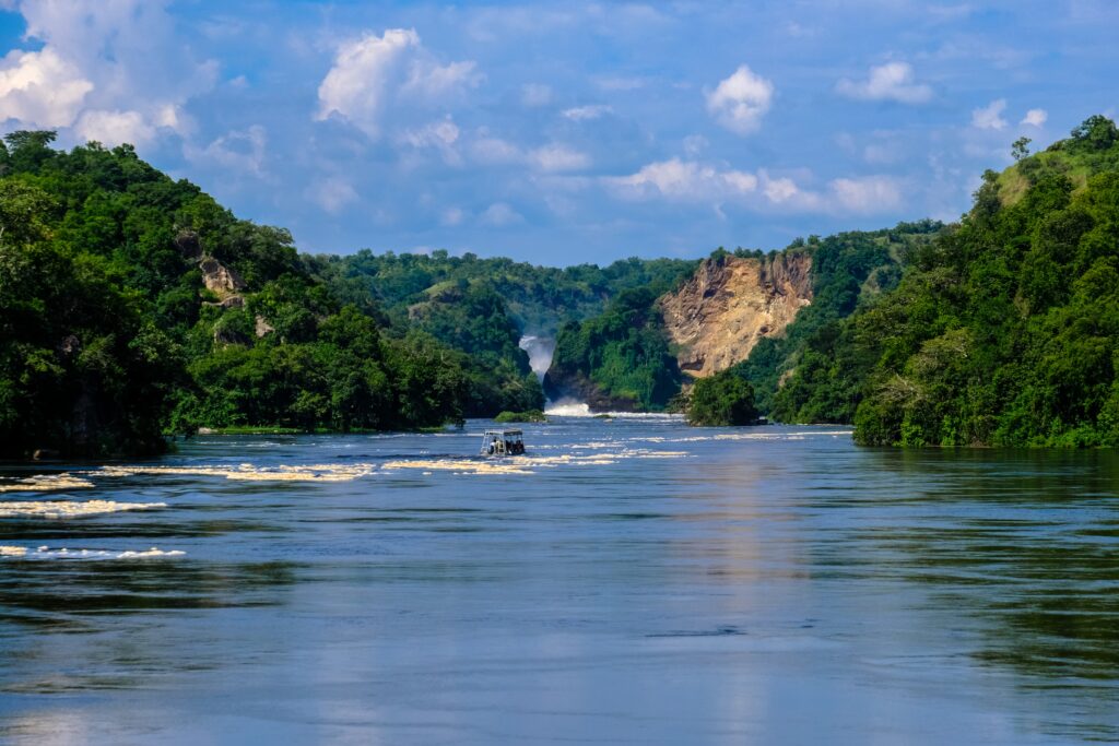 Patrimônio natural brasileiro