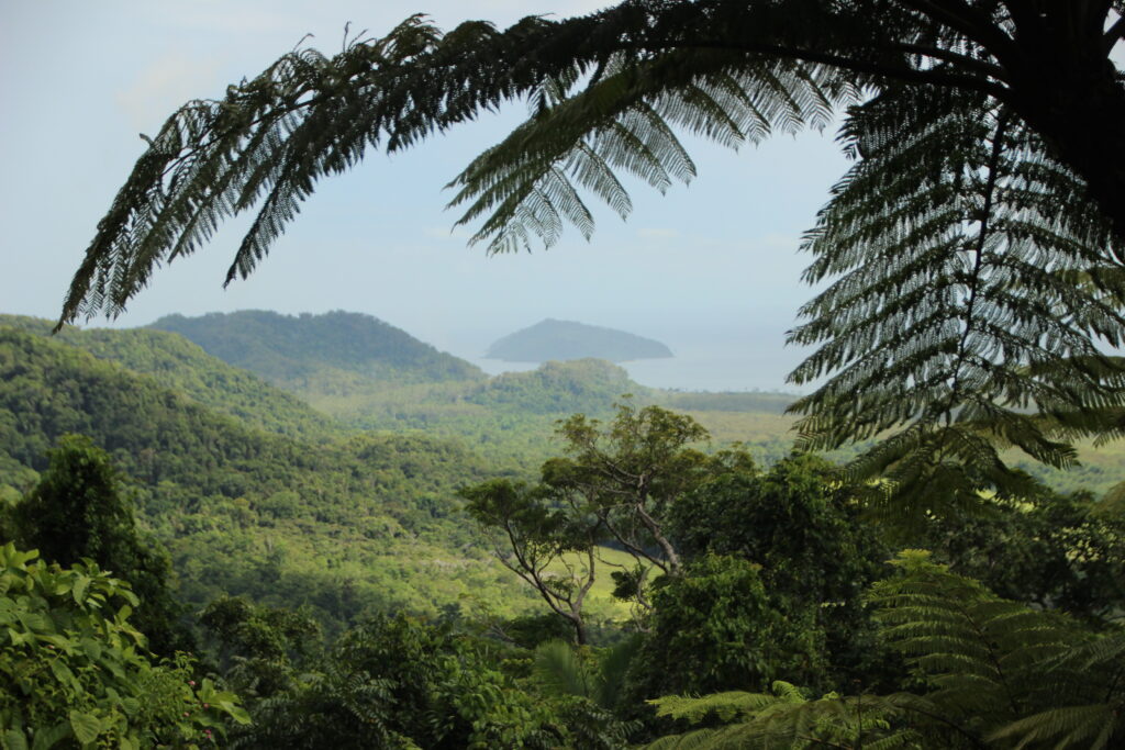Patrimônio Natural Brasileiro