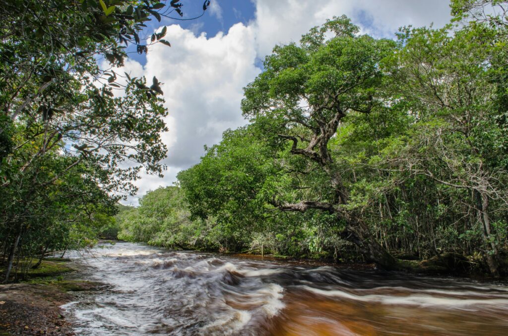 Preservação ambiental no Brasil