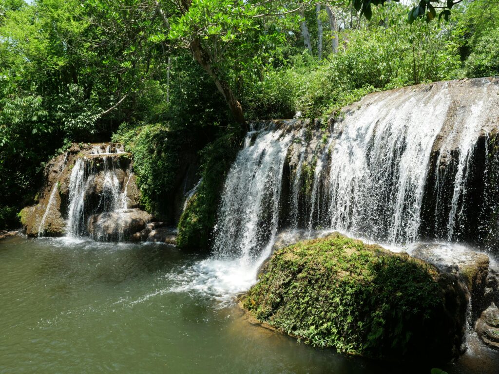 Bonito MS